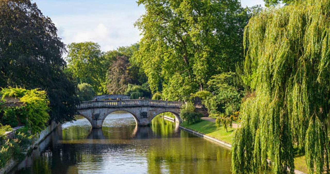 Stunning 1Br - Super Central- Peaceful Area - Lower Ground Apartment Cambridge  Eksteriør bilde