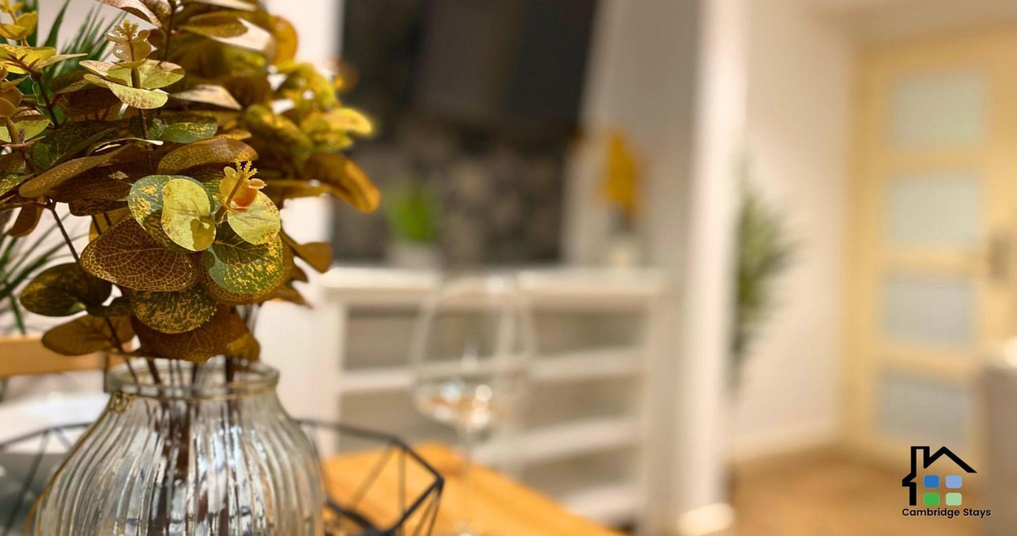 Stunning 1Br - Super Central- Peaceful Area - Lower Ground Apartment Cambridge  Eksteriør bilde